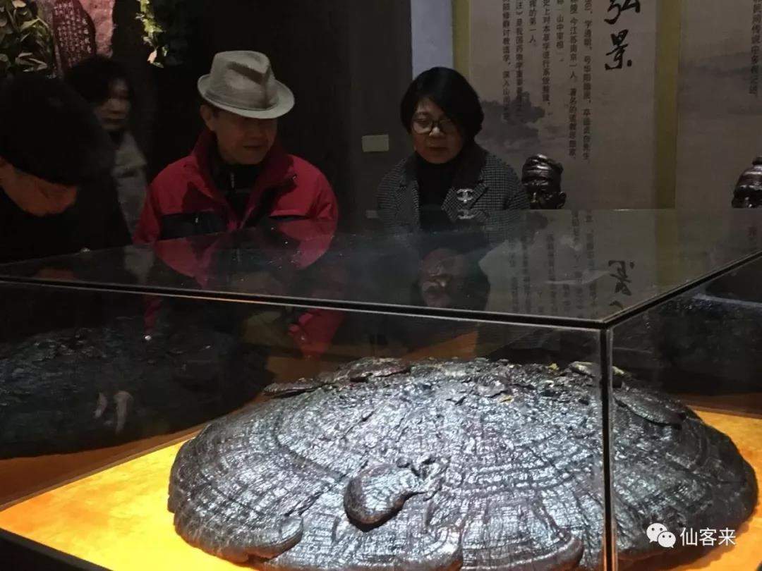 中國(guó)靈芝十大品牌|仙客來(lái)靈芝|仙客來(lái)靈芝破壁孢子粉|仙客來(lái)孢子油|仙客來(lái)靈芝飲片|仙客來(lái)破壁孢子粉|仙客來(lái)靈芝中藥飲片|馳名商標(biāo)|www.tianyabagua.cn|