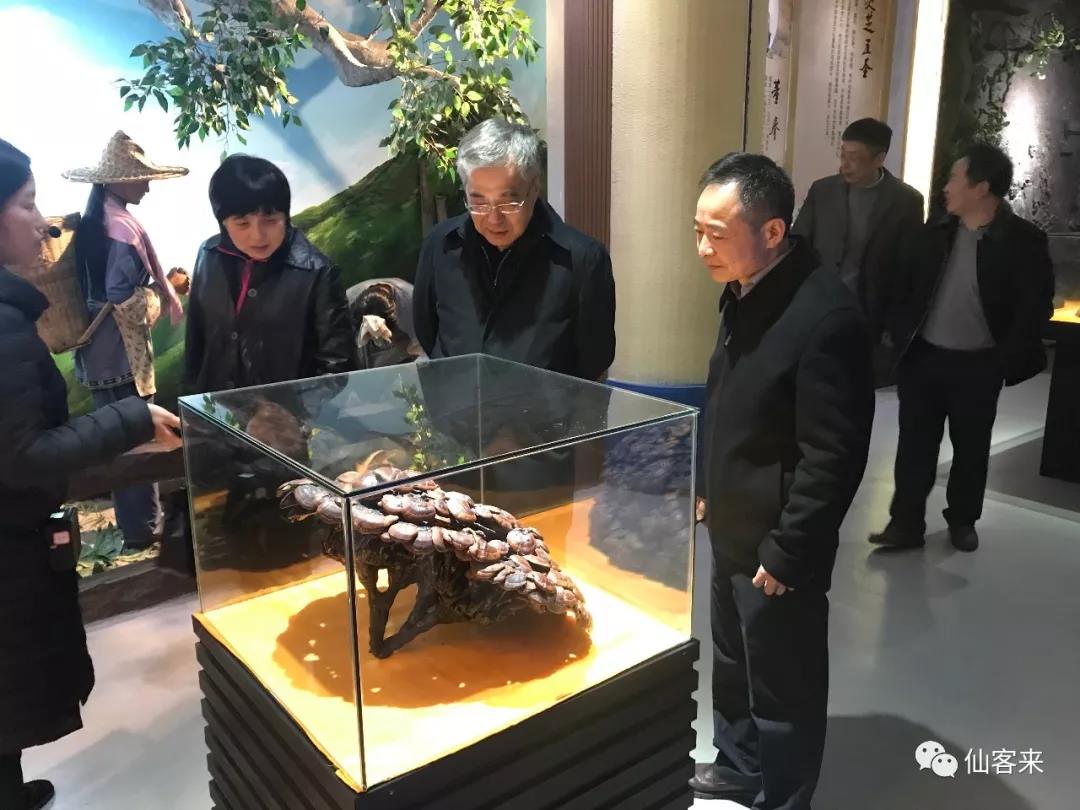 中國靈芝十大品牌|仙客來靈芝|仙客來靈芝破壁孢子粉|仙客來孢子油|仙客來靈芝飲片|仙客來破壁孢子粉|仙客來靈芝中藥飲片|馳名商標|www.tianyabagua.cn|