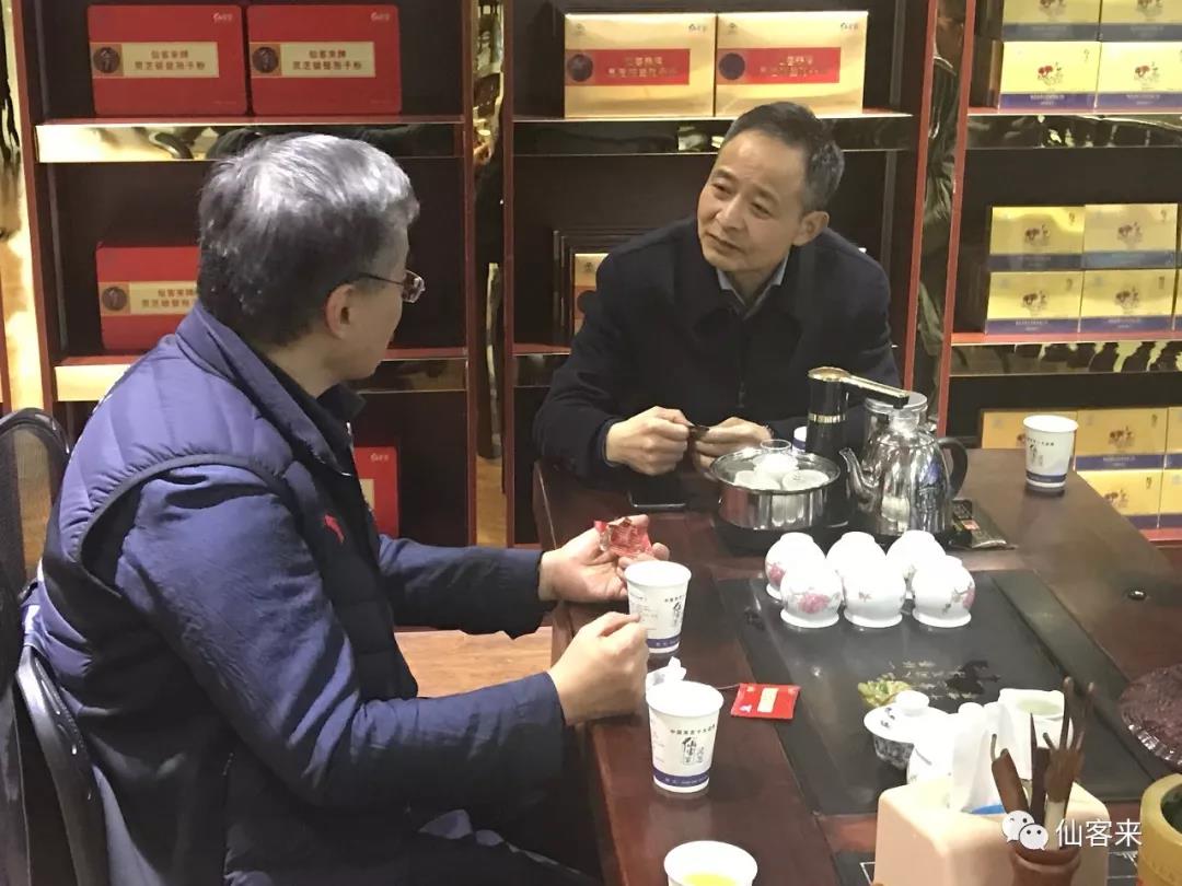 杭州亞運會官方靈芝產(chǎn)品供應商|杭州亞運會官方供應商|中國靈芝十大品牌|仙客來靈芝|仙客來靈芝破壁孢子粉|仙客來孢子油|仙客來靈芝飲片|仙客來破壁孢子粉|靈芝孢子油|孢子粉|靈芝破壁孢子粉|靈芝|中華老字號