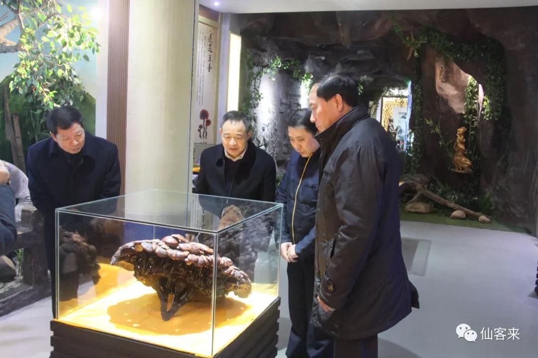 中國(guó)靈芝十大品牌|仙客來靈芝|仙客來靈芝破壁孢子粉|仙客來孢子油|仙客來靈芝飲片|仙客來破壁孢子粉|仙客來靈芝中藥飲片|馳名商標(biāo)|www.tianyabagua.cn|