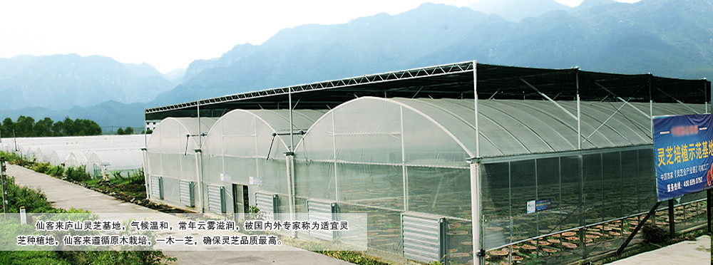 中國靈芝十大品牌|仙客來靈芝|仙客來靈芝破壁孢子粉|仙客來孢子油|仙客來靈芝飲片|仙客來破壁孢子粉|仙客來靈芝中藥飲片|馳名商標|www.tianyabagua.cn|