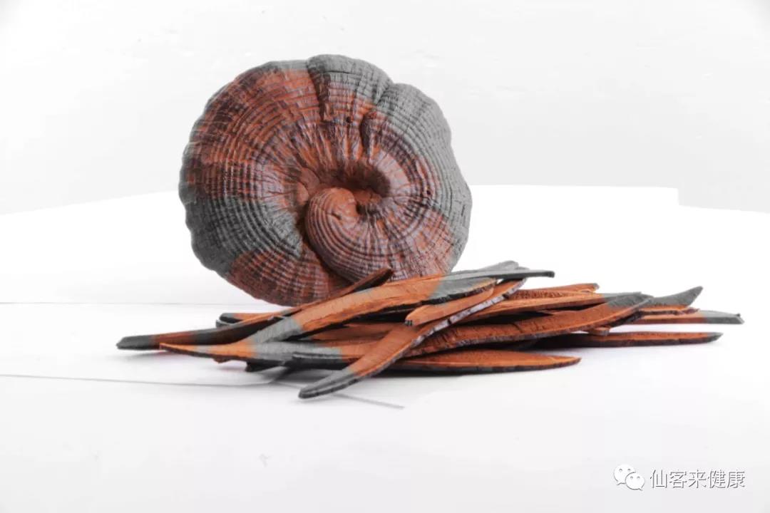 中國(guó)靈芝十大品牌|仙客來(lái)靈芝|仙客來(lái)靈芝破壁孢子粉|仙客來(lái)孢子油|仙客來(lái)靈芝飲片|仙客來(lái)破壁孢子粉|仙客來(lái)靈芝中藥飲片|馳名商標(biāo)|www.tianyabagua.cn|