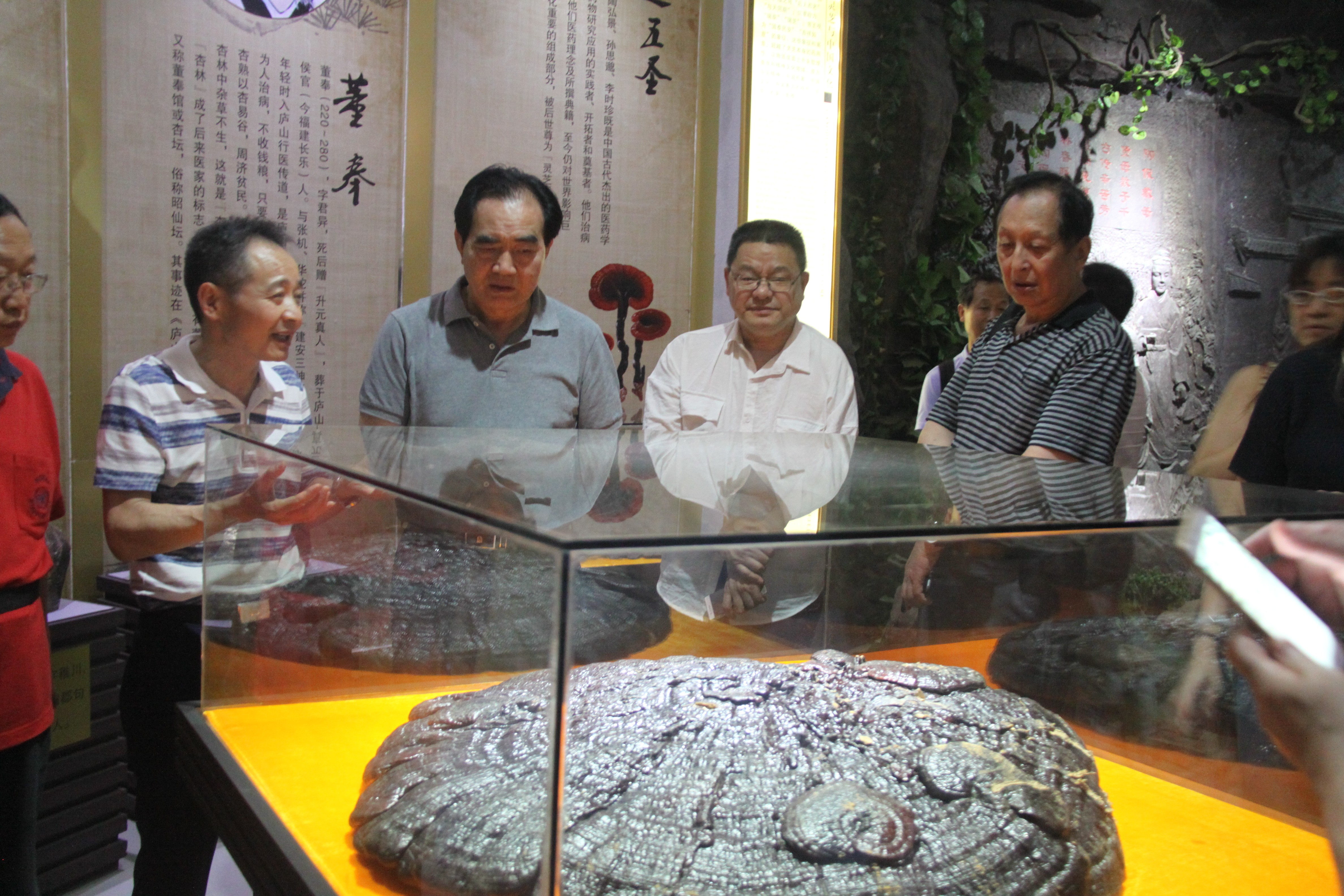 中國(guó)靈芝十大品牌|仙客來(lái)靈芝|仙客來(lái)靈芝破壁孢子粉|仙客來(lái)孢子油|仙客來(lái)靈芝飲片|仙客來(lái)破壁孢子粉|仙客來(lái)靈芝中藥飲片|馳名商標(biāo)|www.tianyabagua.cn|