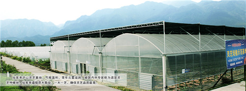 中國靈芝十大品牌|仙客來靈芝|仙客來靈芝破壁孢子粉|仙客來孢子油|仙客來靈芝飲片|仙客來破壁孢子粉|仙客來靈芝中藥飲片|馳名商標(biāo)|www.tianyabagua.cn|