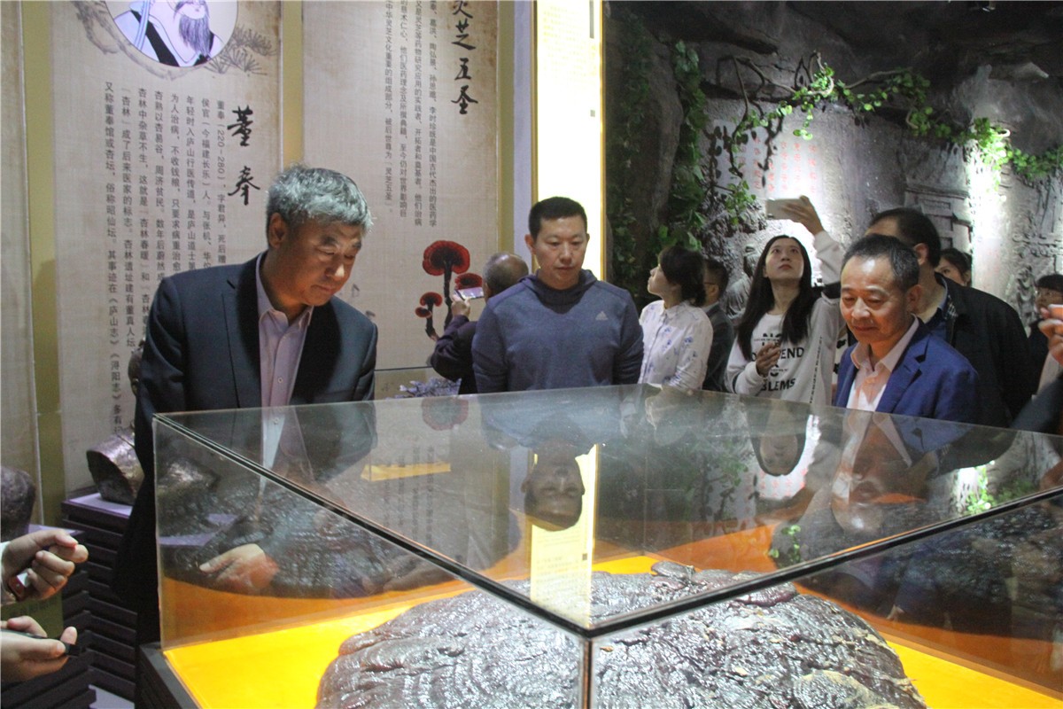 中國靈芝十大品牌|仙客來靈芝|仙客來靈芝破壁孢子粉|仙客來孢子油|仙客來靈芝飲片|仙客來破壁孢子粉|仙客來靈芝中藥飲片|馳名商標(biāo)|www.tianyabagua.cn|
