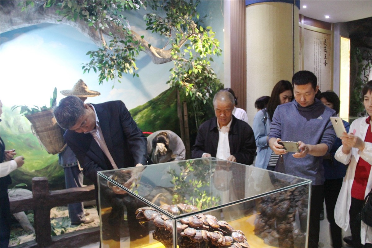 中國靈芝十大品牌|仙客來靈芝|仙客來靈芝破壁孢子粉|仙客來孢子油|仙客來靈芝飲片|仙客來破壁孢子粉|仙客來靈芝中藥飲片|馳名商標(biāo)|www.tianyabagua.cn|
