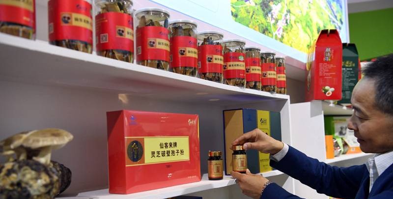 中國靈芝十大品牌|仙客來靈芝|仙客來靈芝破壁孢子粉|仙客來孢子油|仙客來靈芝飲片|仙客來破壁孢子粉|仙客來靈芝中藥飲片|馳名商標|www.tianyabagua.cn|