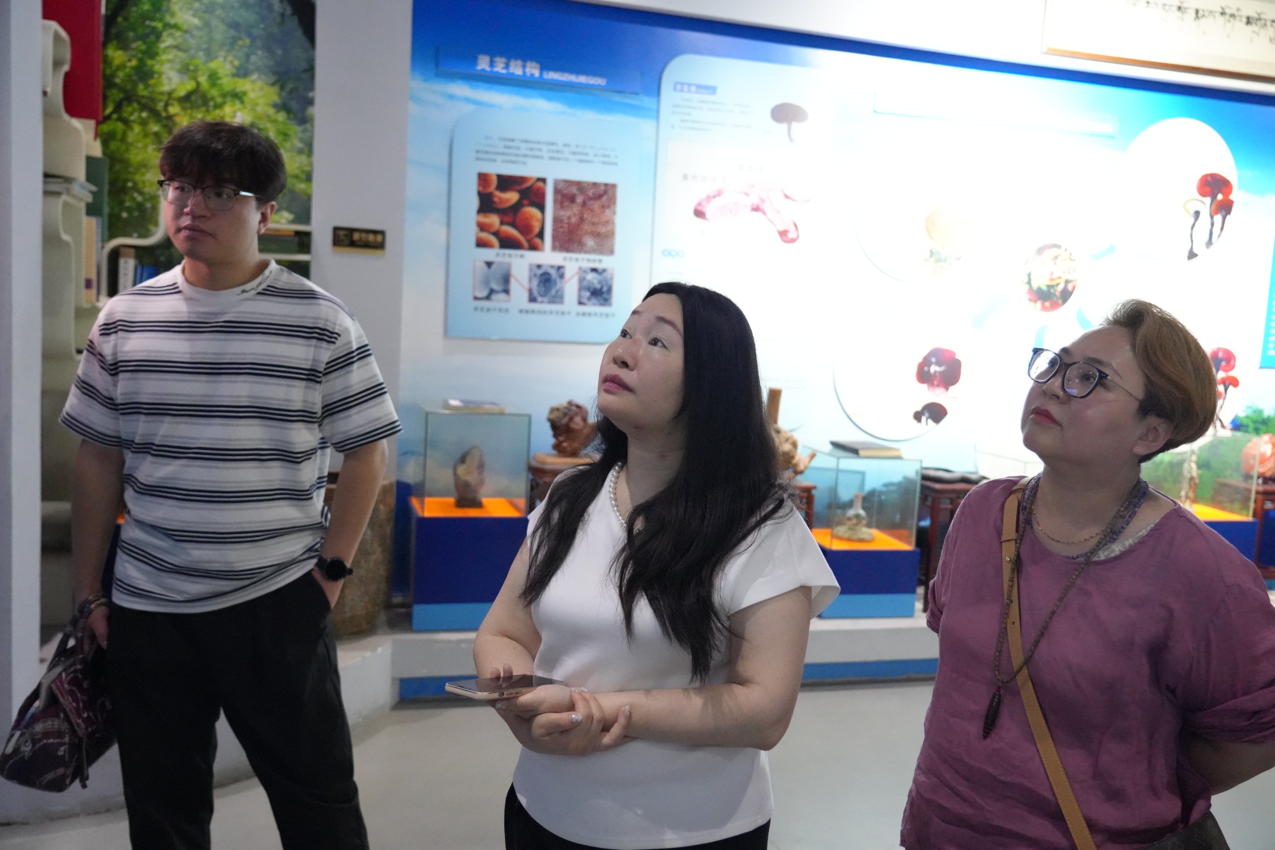 杭州亞運(yùn)會(huì)官方靈芝產(chǎn)品供應(yīng)商|杭州亞運(yùn)會(huì)官方供應(yīng)商|中國靈芝十大品牌|仙客來靈芝|仙客來靈芝破壁孢子粉|仙客來孢子油|仙客來靈芝飲片|仙客來破壁孢子粉|靈芝孢子油|孢子粉|靈芝破壁孢子粉|靈芝|中華老字號(hào)