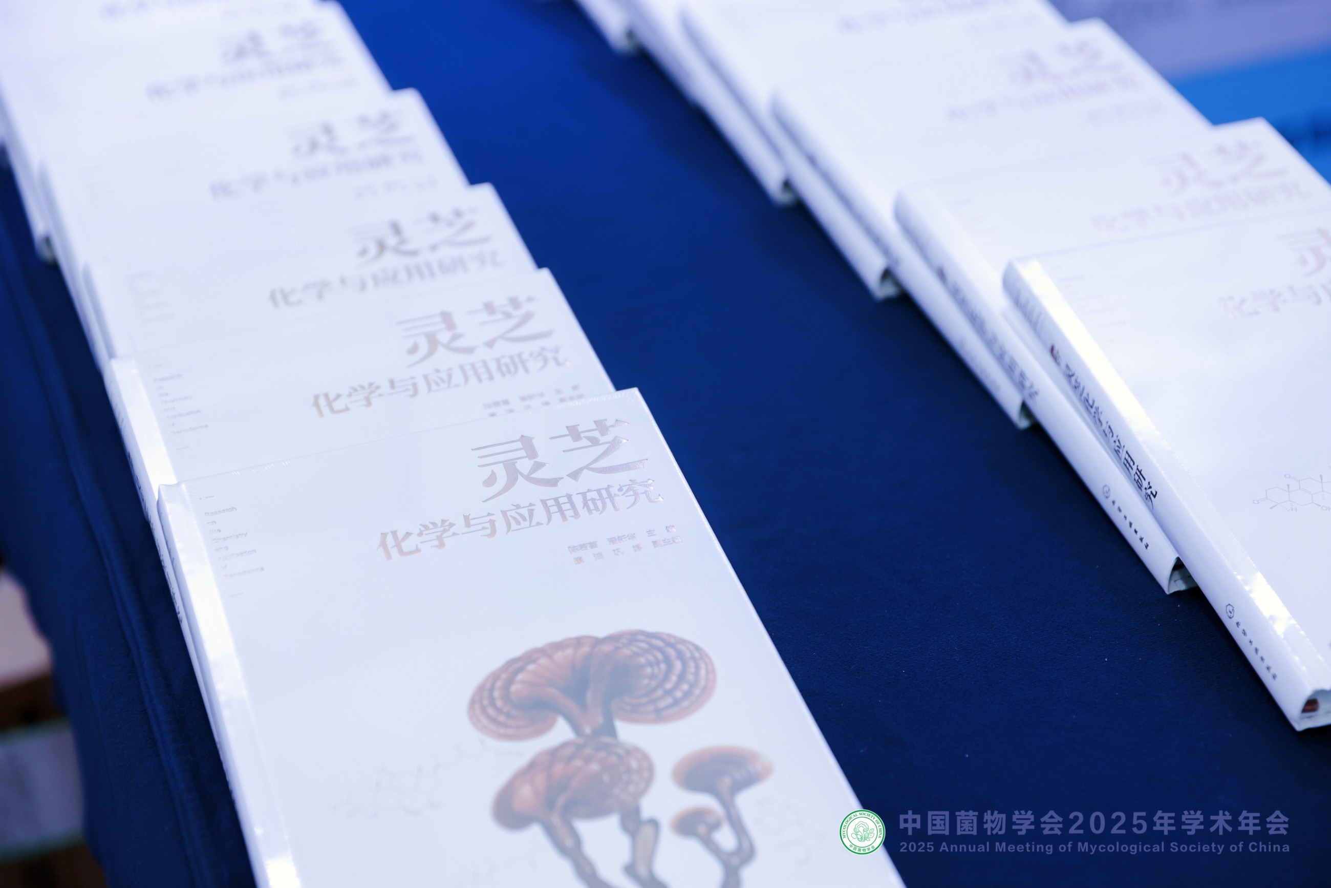 杭州亞運(yùn)會(huì)官方靈芝產(chǎn)品供應(yīng)商|杭州亞運(yùn)會(huì)官方供應(yīng)商|中國(guó)靈芝十大品牌|仙客來(lái)靈芝|仙客來(lái)靈芝破壁孢子粉|仙客來(lái)孢子油|仙客來(lái)靈芝飲片|仙客來(lái)破壁孢子粉|靈芝孢子油|孢子粉|靈芝破壁孢子粉|靈芝|中華老字號(hào)