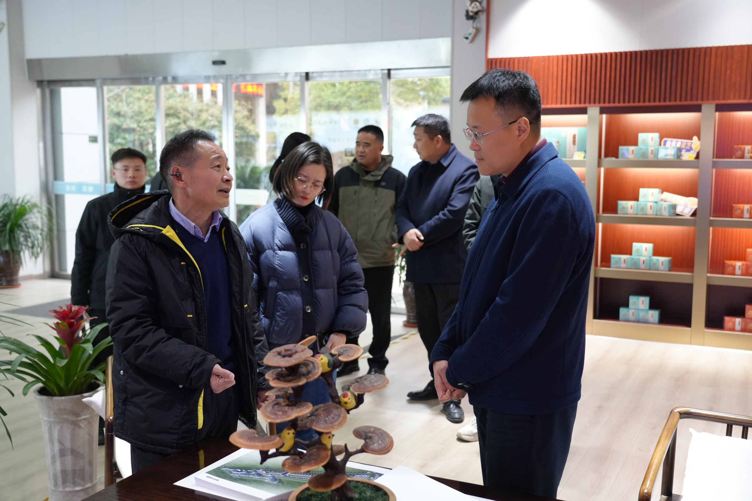 杭州亞運會官方靈芝產品供應商|杭州亞運會官方供應商|中國靈芝十大品牌|仙客來靈芝|仙客來靈芝破壁孢子粉|仙客來孢子油|仙客來靈芝飲片|仙客來破壁孢子粉|靈芝孢子油|孢子粉|靈芝破壁孢子粉|靈芝|中華老字號