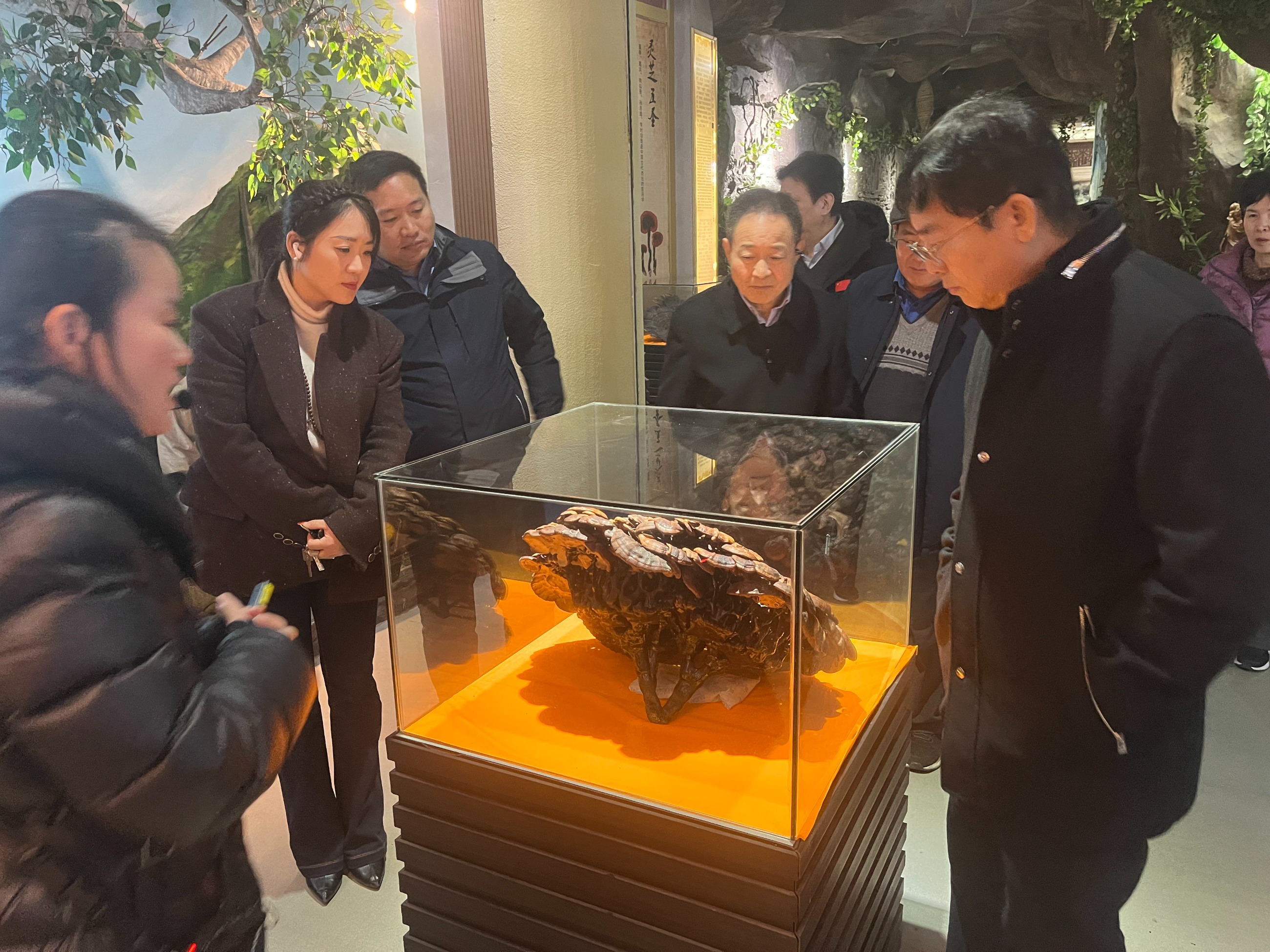 杭州亞運(yùn)會(huì)官方靈芝產(chǎn)品供應(yīng)商|杭州亞運(yùn)會(huì)官方供應(yīng)商|中國(guó)靈芝十大品牌|仙客來(lái)靈芝|仙客來(lái)靈芝破壁孢子粉|仙客來(lái)孢子油|仙客來(lái)靈芝飲片|仙客來(lái)破壁孢子粉|靈芝孢子油|孢子粉|靈芝破壁孢子粉|靈芝|中華老字號(hào)