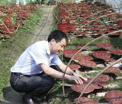 《中國(guó)食品報(bào)》報(bào)道仙客來(lái)公司多產(chǎn)業(yè)融合發(fā)展