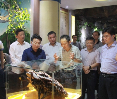 “降成本，優(yōu)環(huán)境”助企業(yè)騰飛——江西省政協(xié)副主席率團(tuán)調(diào)研仙客來！