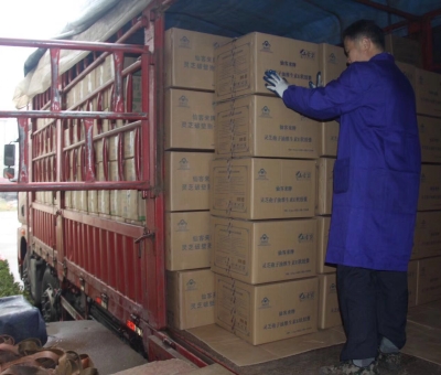 【4天加班15次缺貨】只為人皆有“芝”！