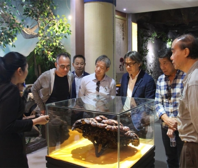 健康“良方”在這！全國政協(xié)委員、世界著名大學(xué)香港大學(xué) 榮譽院士孫少文博士蒞臨仙客來公司參觀考察