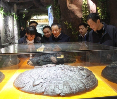 國(guó)家民委領(lǐng)導(dǎo)蒞臨仙客來(lái)公司考察調(diào)研