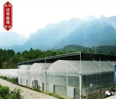 增強(qiáng)免疫力保健食品原料，它排第一