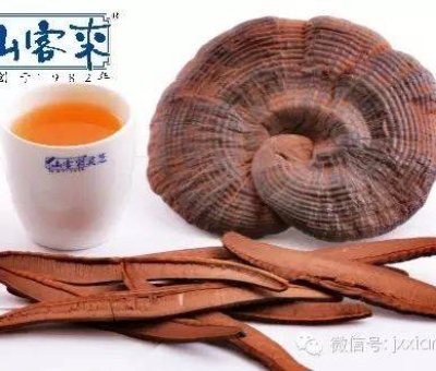 熱潮不斷！仙客來(lái)有機(jī)靈芝被點(diǎn)贊刷屏