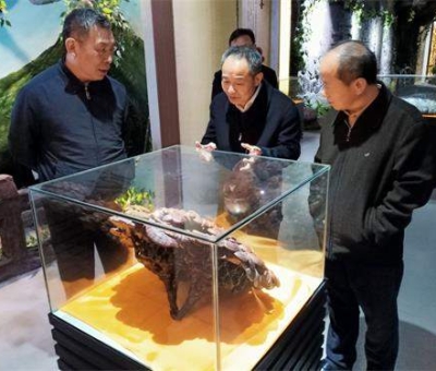 中華全國(guó)供銷合作總社原副主任戴公興一行蒞臨仙客來(lái)公司視察指導(dǎo)