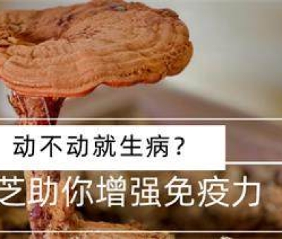 年齡增長免疫力降低  合理預(yù)防別給疾病可乘之機