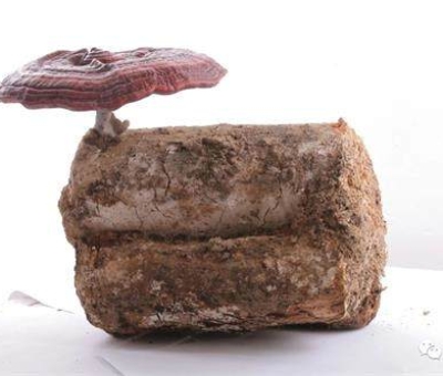 明朝開國(guó)皇帝朱元璋遇見廬山  摯愛這件瑰寶