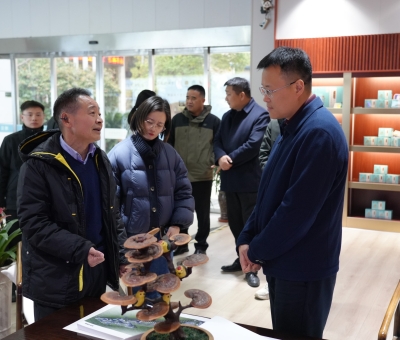 盛煒書(shū)記蒞臨仙客來(lái)調(diào)研